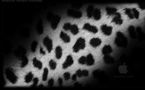 leopard_desktop
