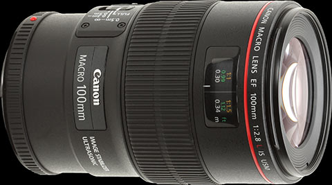 Recensione Canon EF 100mm F/2.8L Macro IS USM
